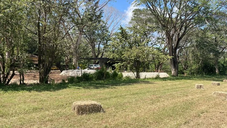 Private property for sale with a modern house and pool surrounded by the nature of Playa Samara – excellent investment opportunity