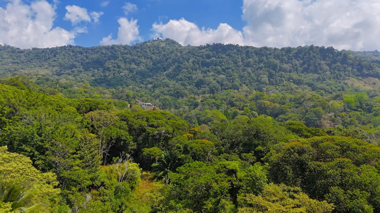 BUILDING PROPERTY WITH OCEAN VIEWS, IN PUERTO NUEVO – 2.22 ACRES, photo 11