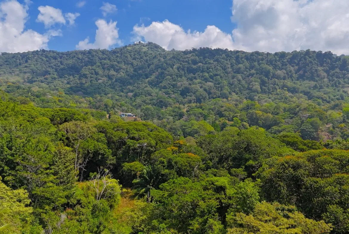 BUILDING PROPERTY WITH OCEAN VIEWS, IN PUERTO NUEVO – 2.22 ACRES, photo 12