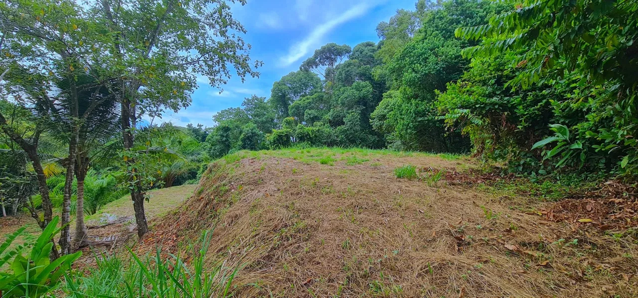 BUILDING PROPERTY WITH OCEAN VIEWS, IN PUERTO NUEVO – 2.22 ACRES, photo 5