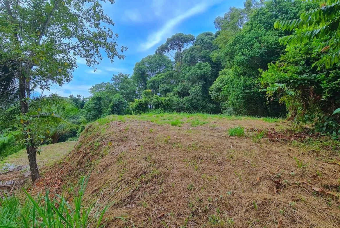 BUILDING PROPERTY WITH OCEAN VIEWS, IN PUERTO NUEVO – 2.22 ACRES, photo 6