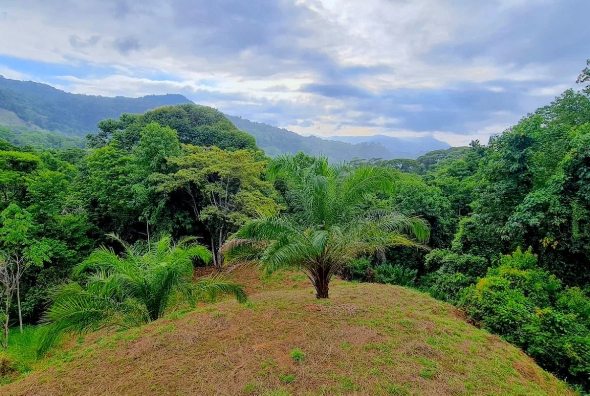 BUILDING PROPERTY WITH OCEAN VIEWS, IN PUERTO NUEVO – 2.22 ACRES, photo 10
