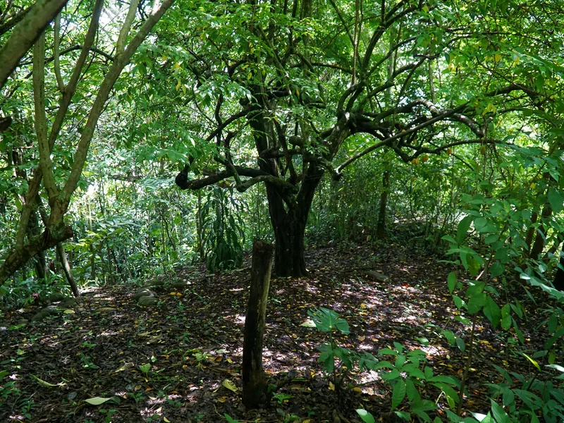 Land For Sale in Perez Zeledon, photo 13