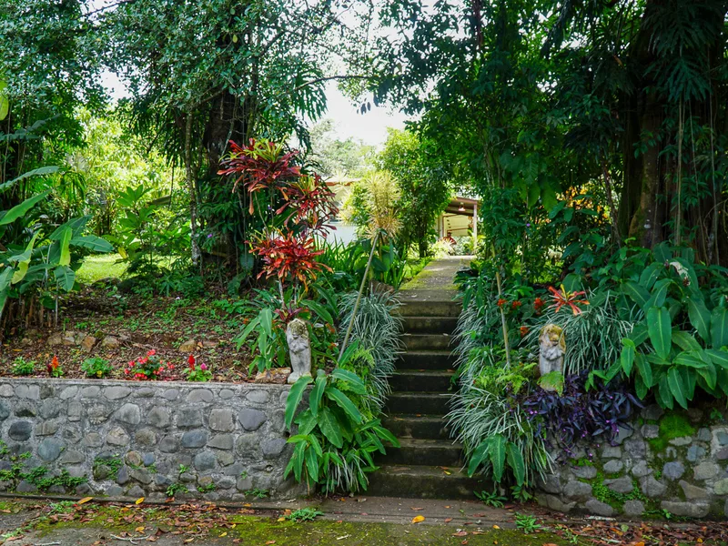 Land For Sale in Perez Zeledon, photo 15