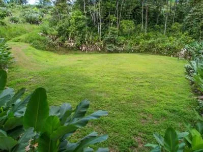 Caracara Ridge Lote n.º 41: Un terreno privado con vistas a la montaña y un entorno de selva