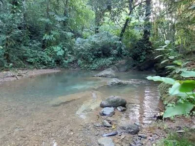 Lote frente al río en Tres Ríos – 5,545 m² de potencial, photo 3