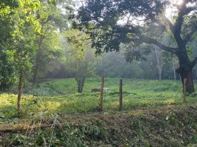 Lote frente al río en Tres Ríos – 5,545 m² de potencial, photo 4