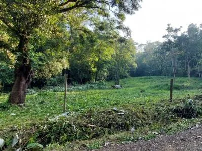 Lote frente al río en Tres Ríos – 5,545 m² de potencial, photo 5