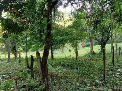 Lote frente al río en Tres Ríos – 5,545 m² de potencial, photo 6
