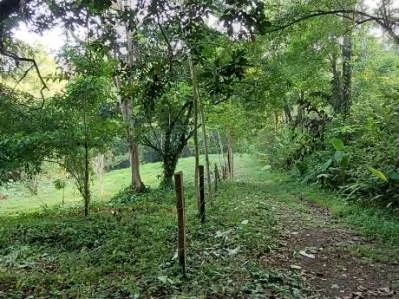 Lote frente al río en Tres Ríos – 5,545 m² de potencial, photo 7