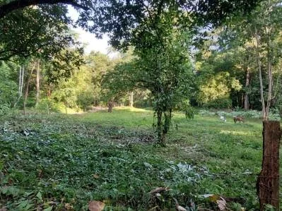 Lote frente al río en Tres Ríos – 5,545 m² de potencial, photo 8