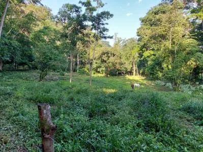 Lote frente al río en Tres Ríos – 5,545 m² de potencial, photo 9