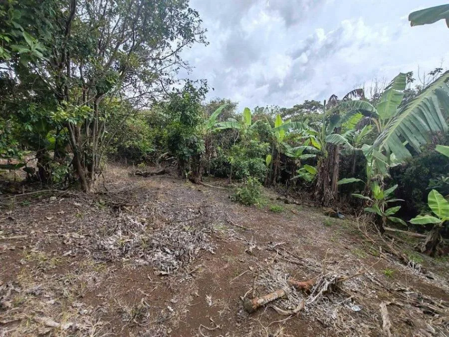 MLS-25-402 LS VENTA LOTE DE SAN RAFAEL HEREDIA - Venta en San Rafael, photo 2