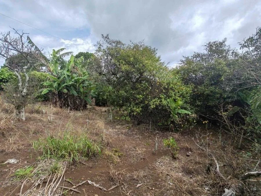 MLS-25-402 LS VENTA LOTE DE SAN RAFAEL HEREDIA - Venta en San Rafael, photo 3