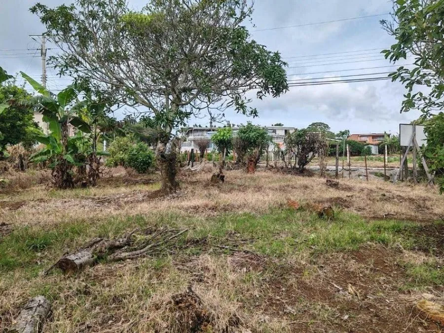 MLS-25-402 LS VENTA LOTE DE SAN RAFAEL HEREDIA - Venta en San Rafael, photo 7