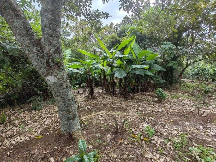 MLS-25-402 LS VENTA LOTE DE SAN RAFAEL HEREDIA - Venta en San Rafael, photo 8