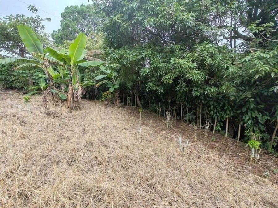 MLS-25-402 LS VENTA LOTE DE SAN RAFAEL HEREDIA - Venta en San Rafael, photo 9