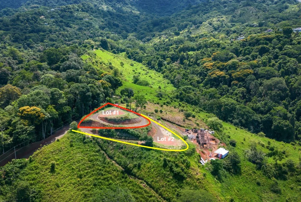 PROPERTY WITH TWO SALES OPTIONS, IN PIÑUELA – 0.7 ACRES, photo 2