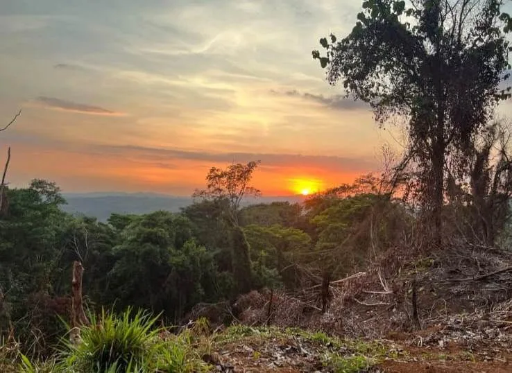 Vista el Mar: 8 ha with OCEAN VIEWS!