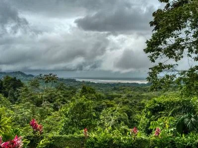 Casa con vista al mar más casita en 11,5 acres con sendero al río y poza para nadar, photo 9