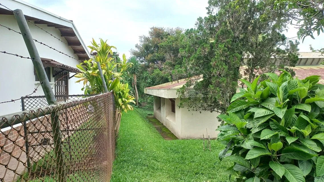 Se vende lote en Mata de Plátano Goicoechea 25-1767 - Venta en Goicoechea, photo 4