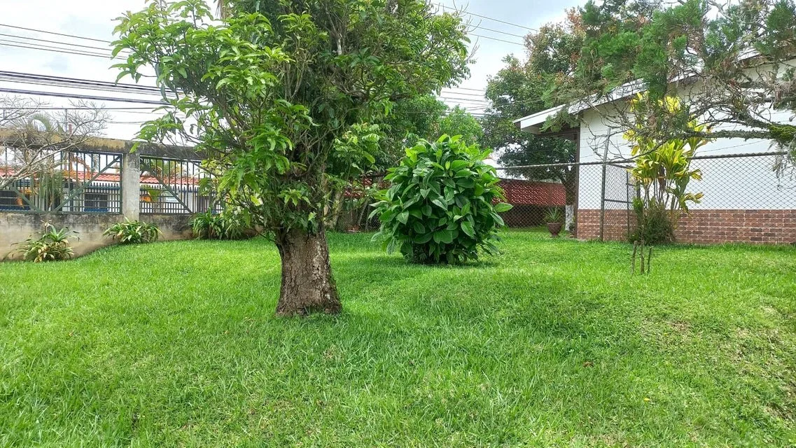 Se vende lote en Mata de Plátano Goicoechea 25-1767 - Venta en Goicoechea, photo 5