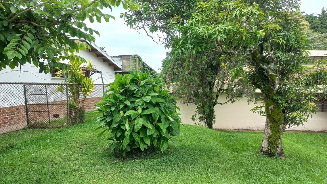 Se vende lote en Mata de Plátano Goicoechea 25-1767 - Venta en Goicoechea, photo 6