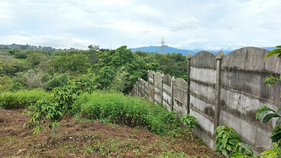 Se vende lote en Mata de Plátano Goicoechea 25-1767 - Venta en Goicoechea, photo 9