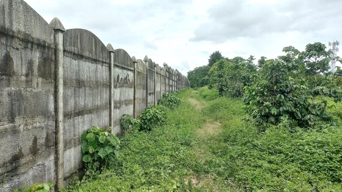Se vende lote en Mata de Plátano Goicoechea 25-1767 - Venta en Goicoechea, photo 10