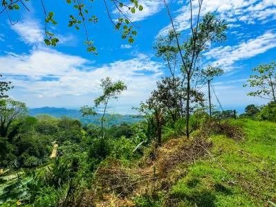 For Sale Lot with Panoramic Ocean Views and Jungle Charm in Ojochal – Ballena Views, photo 2