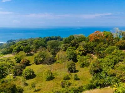 For Sale Lot with Panoramic Ocean Views and Jungle Charm in Ojochal – Ballena Views, photo 3