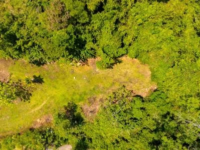 For Sale Lot with Panoramic Ocean Views and Jungle Charm in Ojochal – Ballena Views, photo 4