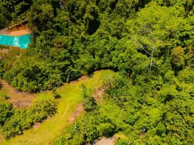 For Sale Lot with Panoramic Ocean Views and Jungle Charm in Ojochal – Ballena Views, photo 5