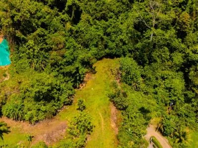 For Sale Lot with Panoramic Ocean Views and Jungle Charm in Ojochal – Ballena Views, photo 6