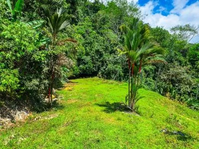 For Sale Lot with Panoramic Ocean Views and Jungle Charm in Ojochal – Ballena Views, photo 7