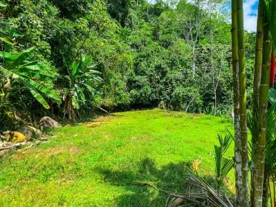 For Sale Lot with Panoramic Ocean Views and Jungle Charm in Ojochal – Ballena Views, photo 8