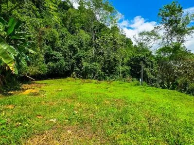 For Sale Lot with Panoramic Ocean Views and Jungle Charm in Ojochal – Ballena Views, photo 9