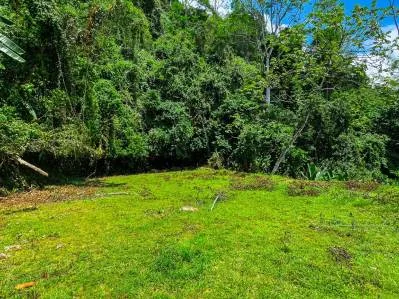For Sale Lot with Panoramic Ocean Views and Jungle Charm in Ojochal – Ballena Views, photo 10