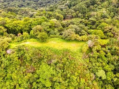 Coronado Estates Lot 5, photo 5
