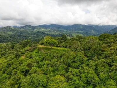 Coronado Estates Lot 5, photo 10