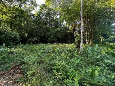 TRES RÍOS, DOS HERMOSOS LOTES RÍOS, photo 2