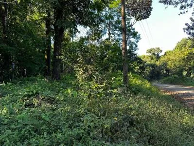 TRES RÍOS, DOS HERMOSOS LOTES RÍOS, photo 10