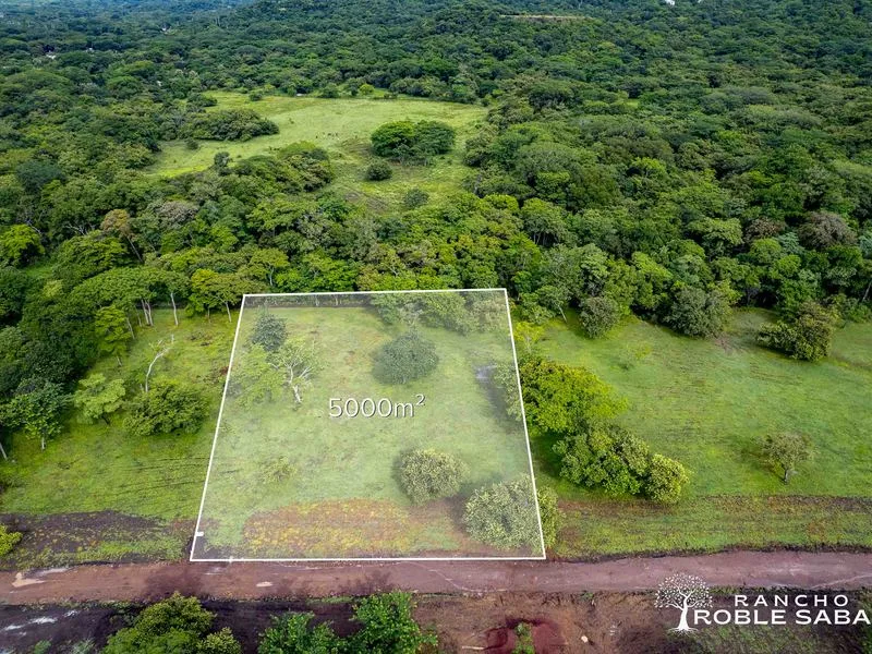 Land For Sale in Tamarindo, photo 11