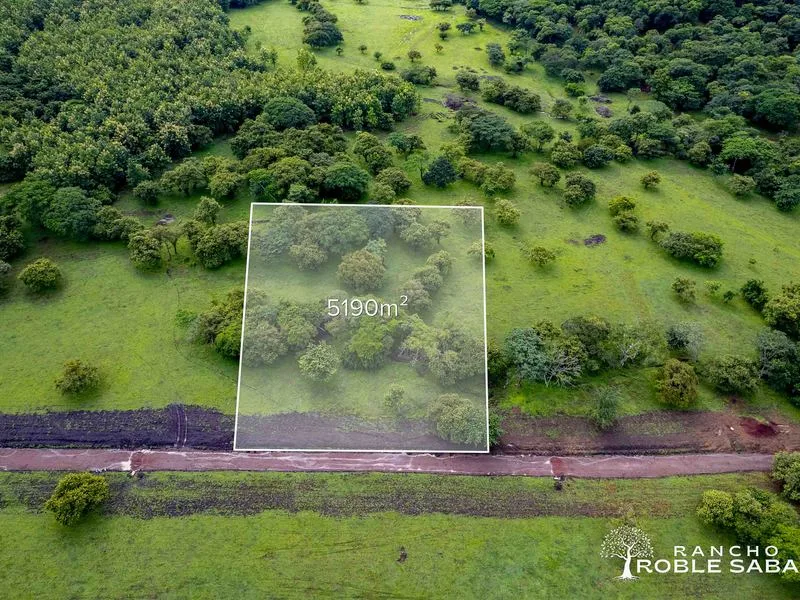 Land For Sale in Tamarindo, photo 12