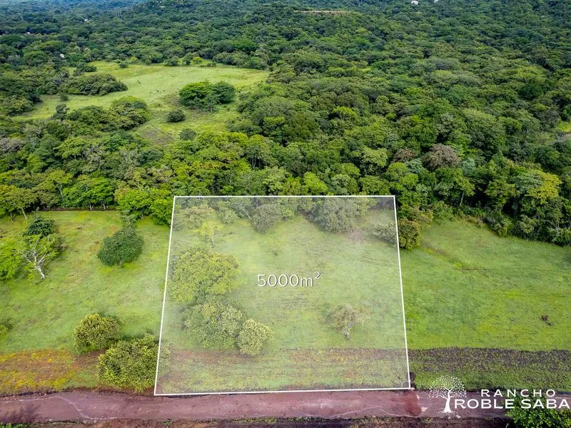 Land For Sale in Tamarindo, photo 13