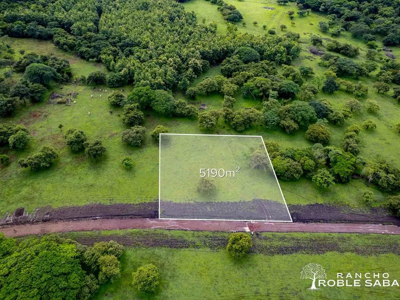 Land For Sale in Tamarindo, photo 14