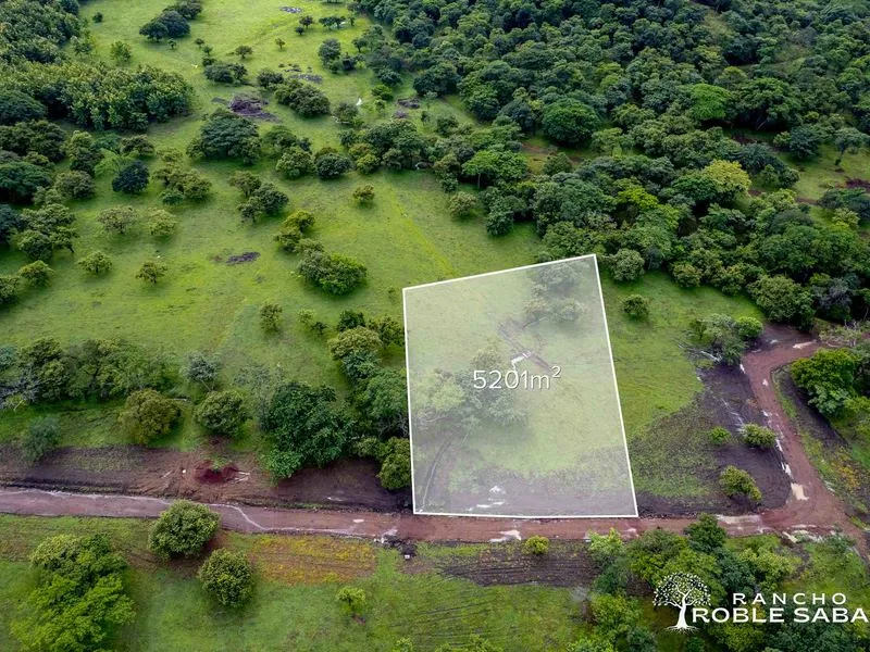 Land For Sale in Tamarindo, photo 7