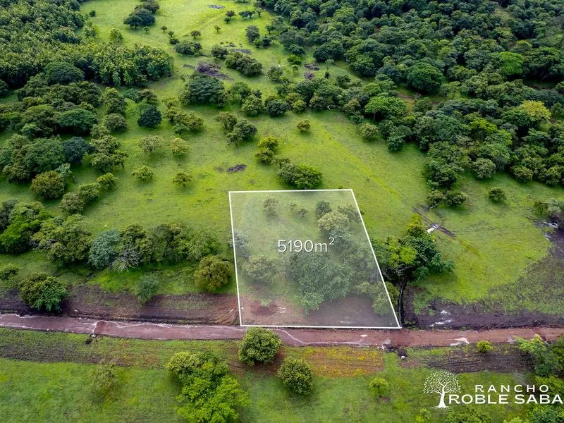 Land For Sale in Tamarindo, photo 9