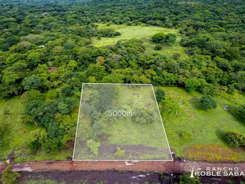 Land For Sale in Tamarindo, photo 10