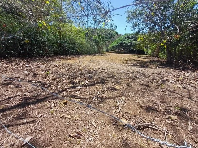 Venta de Lote en San Pablo de Turrubares. RAH 26-1602 - Venta en Turrubares, photo 11